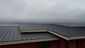 Best Cold Roofs  in Tracyton, WA